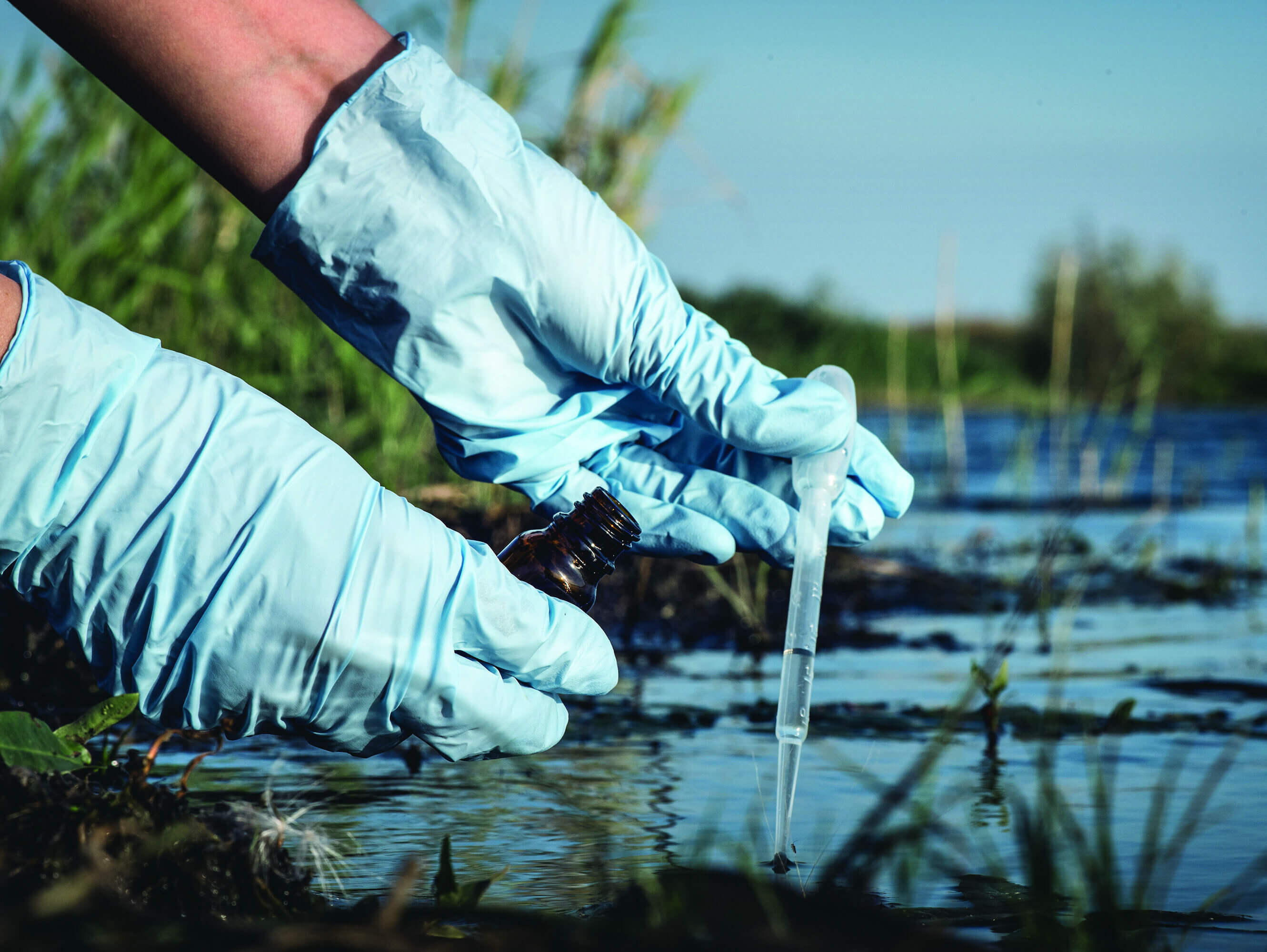 Adobe Stock 285345602 2023 05 09 173247 pvyc