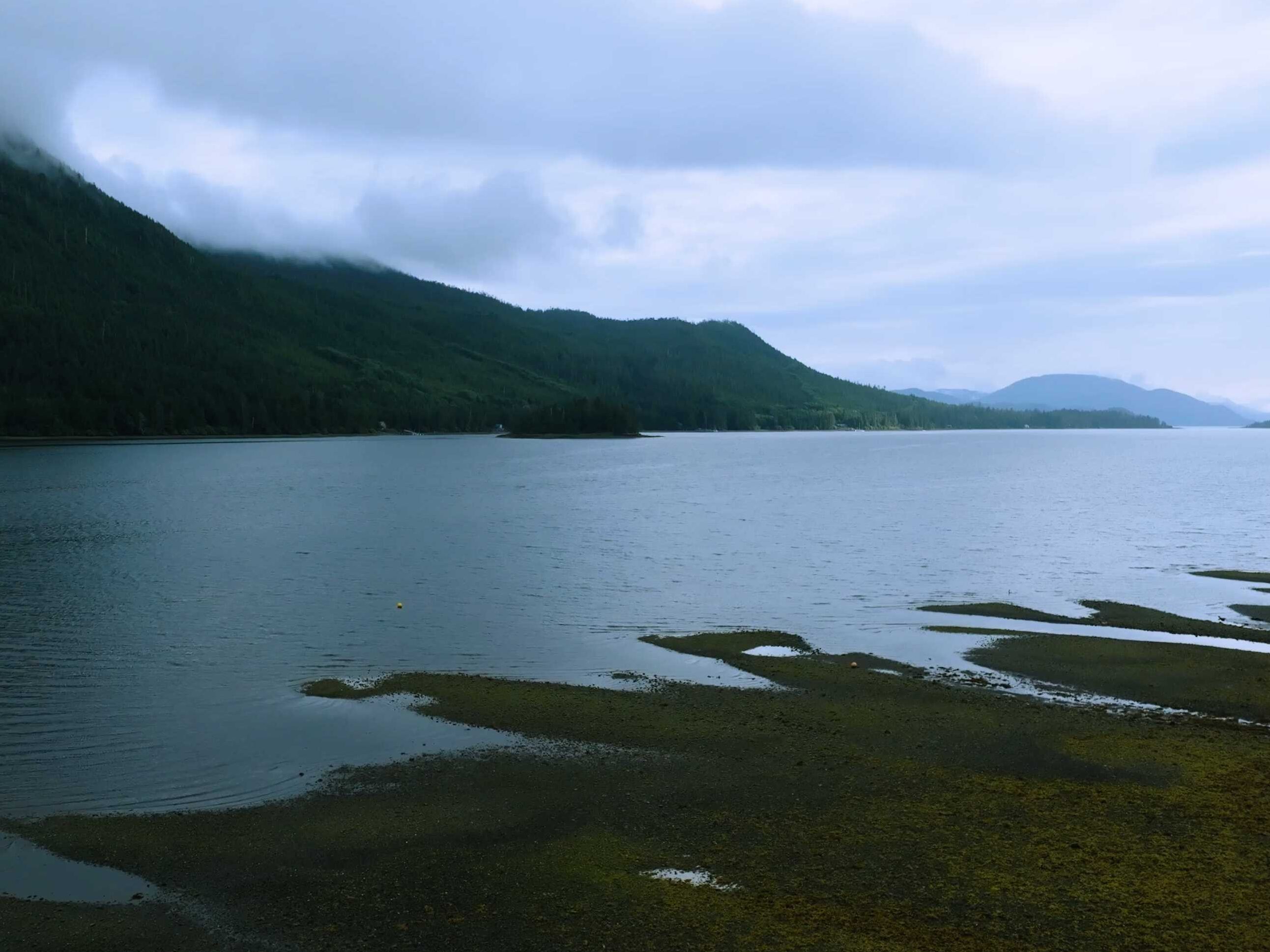 Woocheen About Landscape